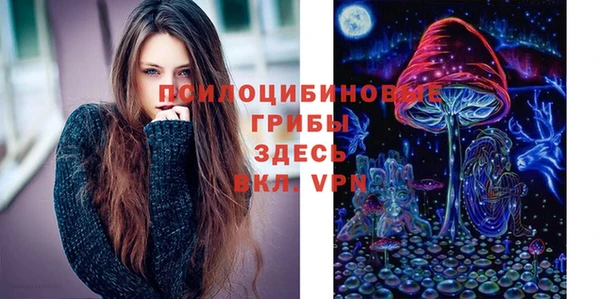 скорость Арсеньев