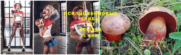 кокаин премиум Няндома